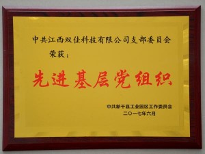 2017先進基層黨組織