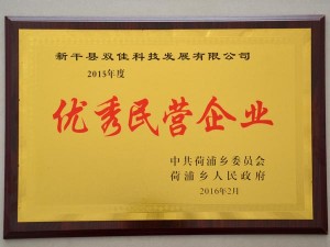 2015年度優(yōu)秀民營企業(yè)